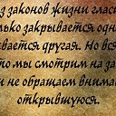 ���� ����, �����, 61 ��� - ��������� 8 ��� 2016 � ������ ������