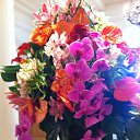 ���� �����, ������ - ��������� 24 ������� 2016 � ������ ���� ����������