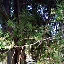 ���� ����, ������, 71 ��� - ��������� 2 �������� 2016 � ������ ���� ����������