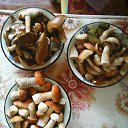 ���� �������, ������ ��������, 43 ���� - ��������� 1 �������� 2016 � ������ ���� ����������