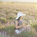 ���� ������, ����������� - ��������� 28 ���� 2016 � ������ ���� ����������