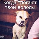 ���� ������, ����������, 48 ��� - ��������� 3 ���� 2016 � ������ ���� ����������