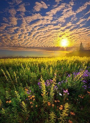  Phil Koch - 2