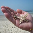 ���� ������, �����������, 69 ��� - ��������� 2 ��� 2016 � ������ ������.���