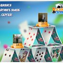���� �����, �������� - ��������� 7 ������� 2016 � ������ �������� �������-�������