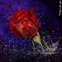 ���� �������, ������, 61 ��� - ��������� 8 ��� 2016 � ������ ���� ����������