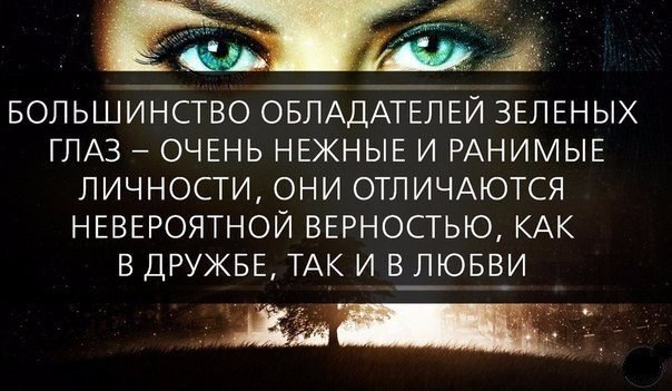 Николай Кузнецов - 25 марта 2016 в 18:34