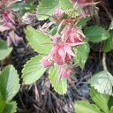 ���� ������, �����������, 64 ���� - ��������� 23 ���� 2016 � ������ ������ ��������