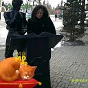 ���� ��������, ������, 53 ���� - ��������� 11 ������ 2016 � ������ ���� ����������