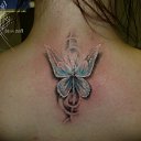���� Liana, �����������, 45 ��� - ��������� 14 ��� 2016 � ������ ����� (�������� � 2006 ����.)�