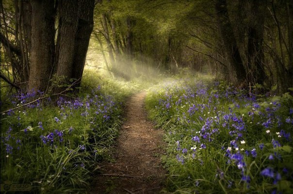 Есть великая мудрость в том, чтобы сохранить склонность к мечтанию. Мечты придают миру интерес и ...