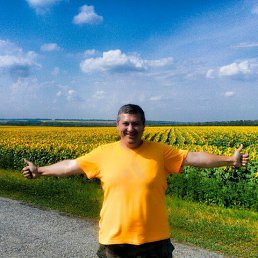 ����, ������-��-����, 46 ���