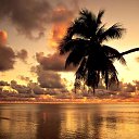 ���� ������, �����������, 47 ��� - ��������� 20 ������� 2016 � ������ ���� ����������