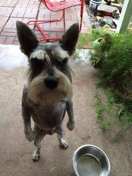   ?!!