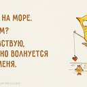 ���� ����, ������, 54 ���� - ��������� 24 ��� 2016 � ������ ������ ��������
