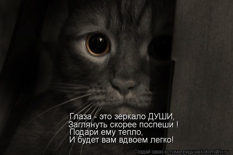   - 17  2016  13:47