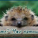 ���� ������, ����������, 69 ��� - ��������� 6 ������ 2016 � ������ �������� ��������