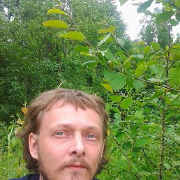 ������, ������������, 43 ����