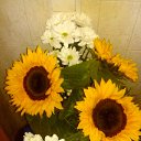  Svetlana, , 59  -  21  2016    50