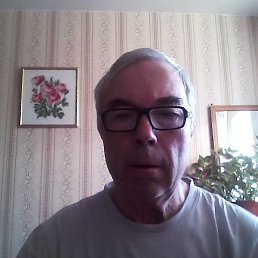 �������, ����������, 84 ����