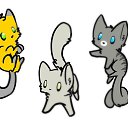 ���� ���, ������� - ��������� 31 ��� 2016 � ������ ������ ��������