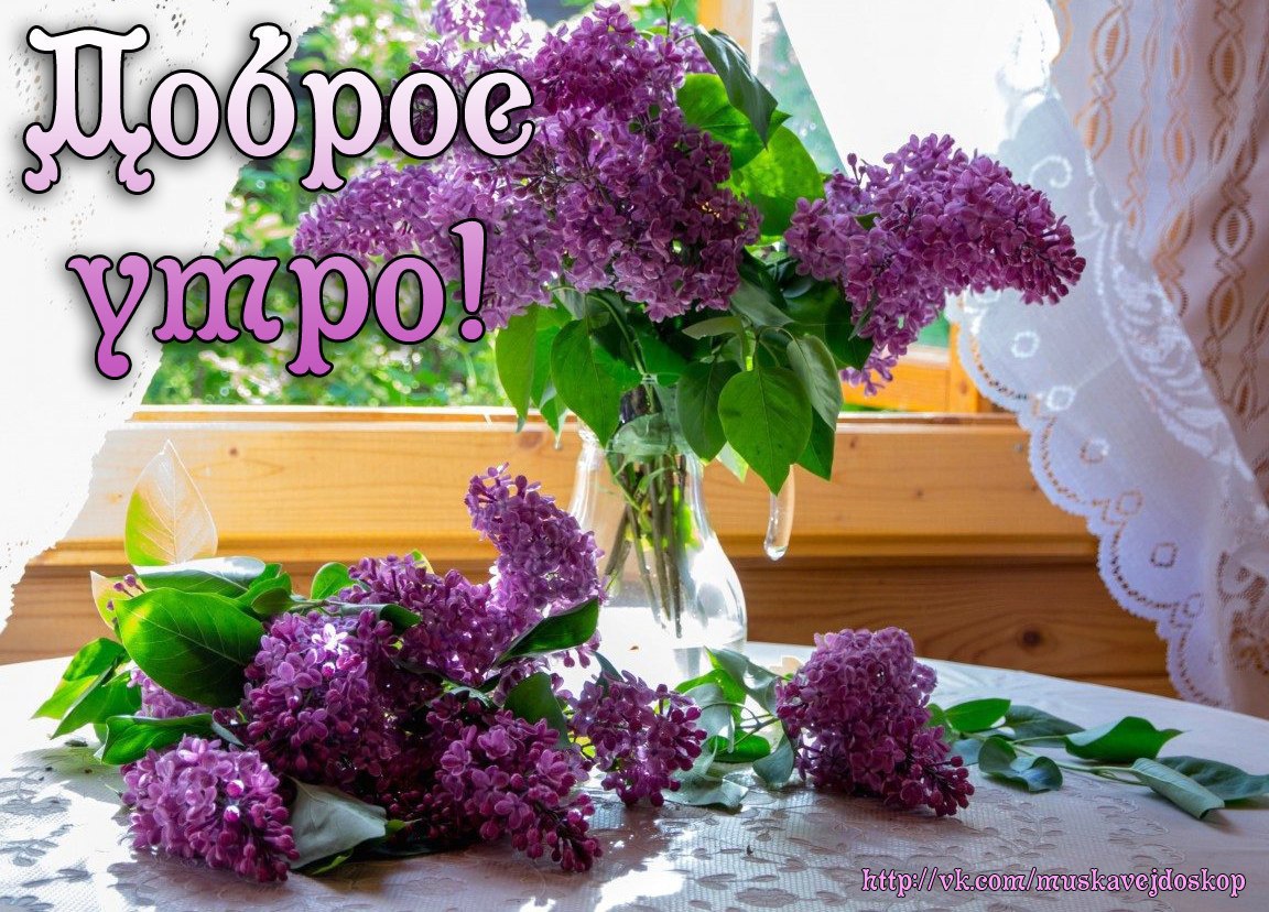 Это Доброе нежное Утро — тебе….Лепестков твоих нежных лучом прикасаясь,Благодарно шепчу я ...