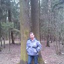 ���� ������, ������, 41 ��� - ��������� 15 ������ 2016