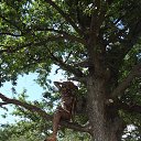  ,  , 39  -  24  2016     2016