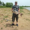 ���� ��������, �����������, 65 ��� - ��������� 15 ������� 2016 � ������ ������ ��������