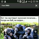 ���� ������, �������, 49 ��� - ��������� 22 ���� 2016