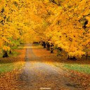 ���� �������, ����� - ��������� 4 �������� 2016 � ������ ���� ����������