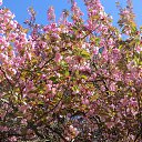 ���� �����, ����� - ��������� 13 ����� 2016 � ������ ���� ����������