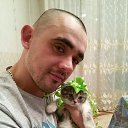 ���� �����, �����������, 41 ��� - ��������� 24 ��� 2016 � ������ ���� ����������