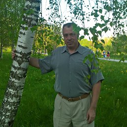 ���� ���, �����, 57 ��� - ��������� 29 ������� 2016