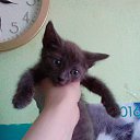 ���� �����, ����, 50 ��� - ��������� 13 ���� 2016 � ������ ������ ��������