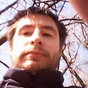  ˸ , , 41  -  4  2016    