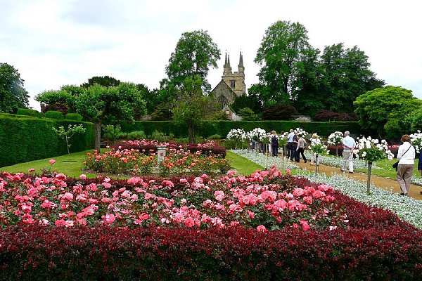 ���� �������� ���������(Penshurst Place & Gardens)����,��������������. ��� �������� ����������� ... - 14