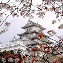 ���� �����, ������, 54 ���� - ��������� 19 ���� 2016