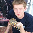 ���� ���������, �����, 37 ��� - ��������� 17 ���� 2016