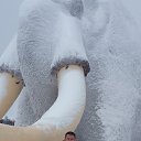 ���� ��������, ��������, 45 ��� - ��������� 5 ������� 2016 � ������ ������ ��������