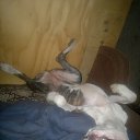 ���� ��������, ����� - ��������� 18 ���� 2016 � ������ ���� ����������