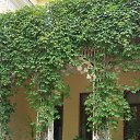 ���� �������, ����� - ��������� 25 ���� 2016 � ������ ������ ��������