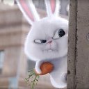 ���� �������� - ��������, ����������, 55 ��� - ��������� 3 �������� 2016 � ������ ���� ����������