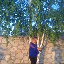 ���� ��������, ������, 60 ��� - ��������� 9 ���� 2016 � ������ ����� 2016�