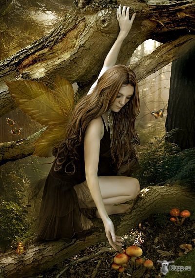   ANDREEA CERNESTEAN. - 7