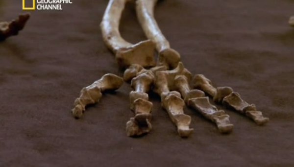 Мальчик, которому два миллиона лет.(The Two Million Year Old Boy)Раскрыв тайну жизни и смерти ... - 2