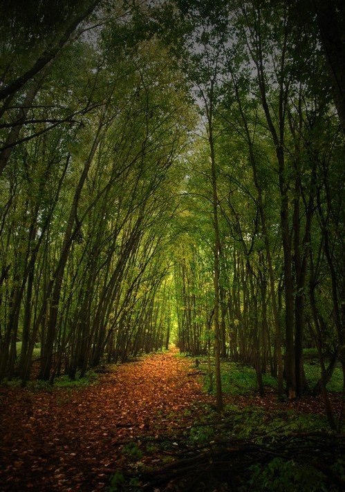  .#nature@travel.blog - 2