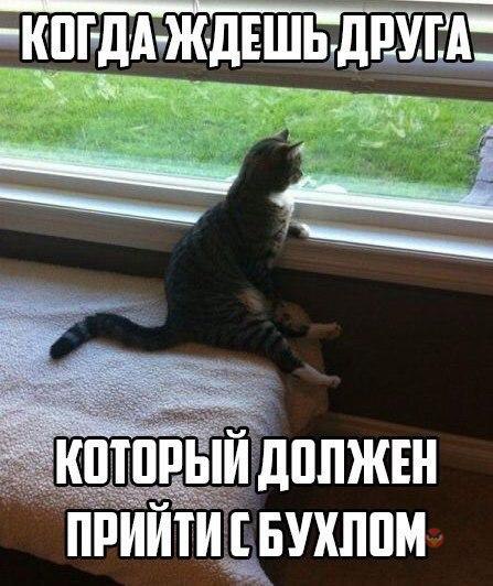 ���������� ��� - 22 ���� 2016 � 09:51