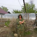 ���� ������, ����������, 54 ���� - ��������� 23 ��� 2016 � ������ ���� ����������