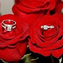 ���� �����, ������������ - ��������� 29 ���� 2016 � ������ ������ ��������